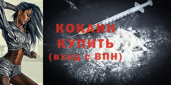 индика Белоозёрский