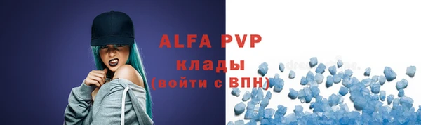 индика Белоозёрский