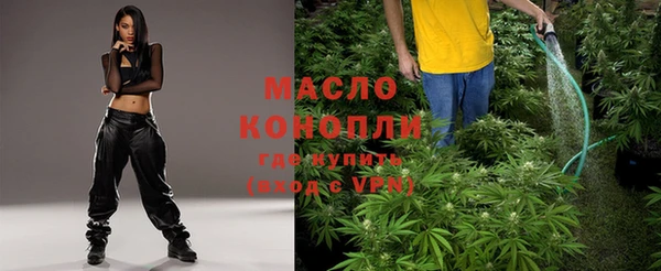 индика Белоозёрский