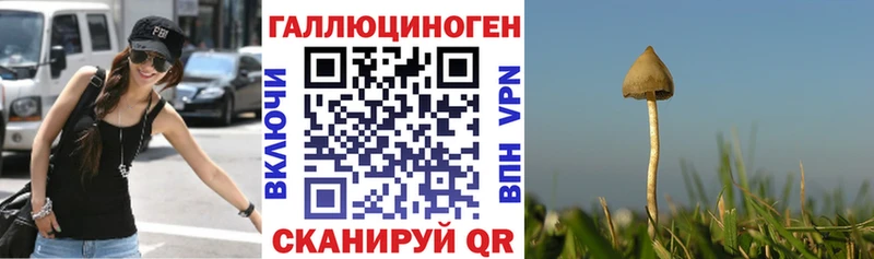 Псилоцибиновые грибы Psilocybine cubensis наркотики Минеральные Воды