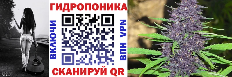 Шишки марихуана марихуана  даркнет как зайти  Минеральные Воды 